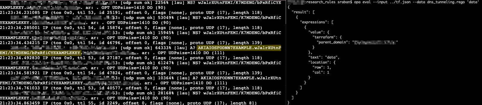 Left side: Server listening for DNS Requests. Right Side: Victim OPA server running the malicious policy.